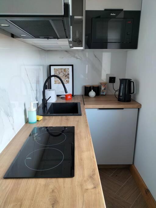 Uroczy Apartament W Centrum Krakowa Dış mekan fotoğraf