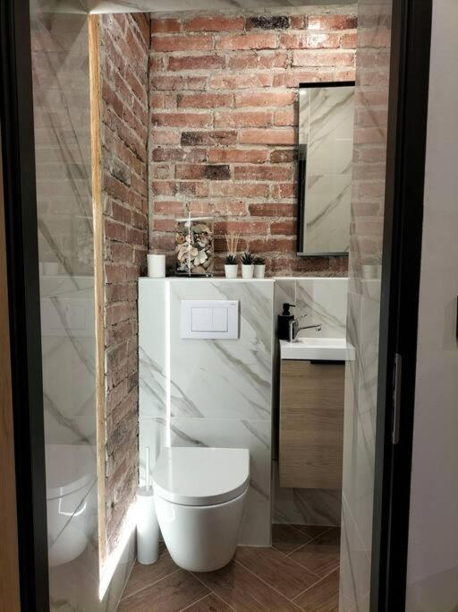 Uroczy Apartament W Centrum Krakowa Dış mekan fotoğraf