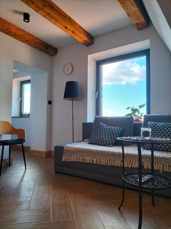 Uroczy Apartament W Centrum Krakowa Dış mekan fotoğraf