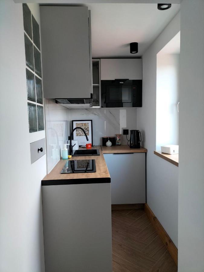 Uroczy Apartament W Centrum Krakowa Dış mekan fotoğraf
